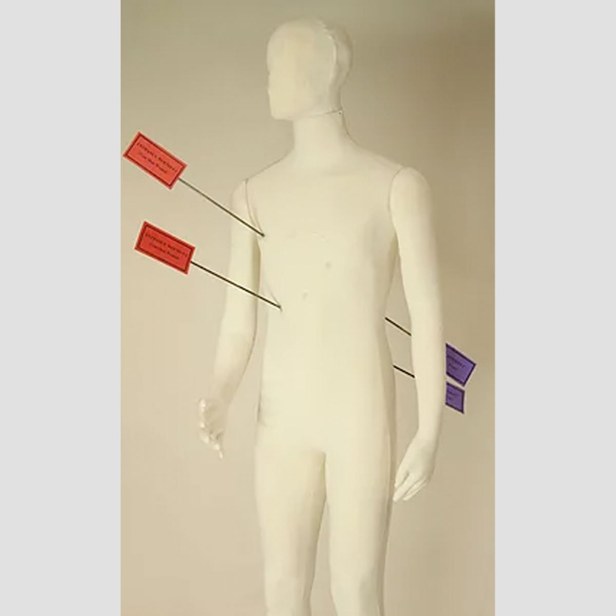Dummies Unlimited Poly-Flex Forensic Mannequin-Tactical Gear UK