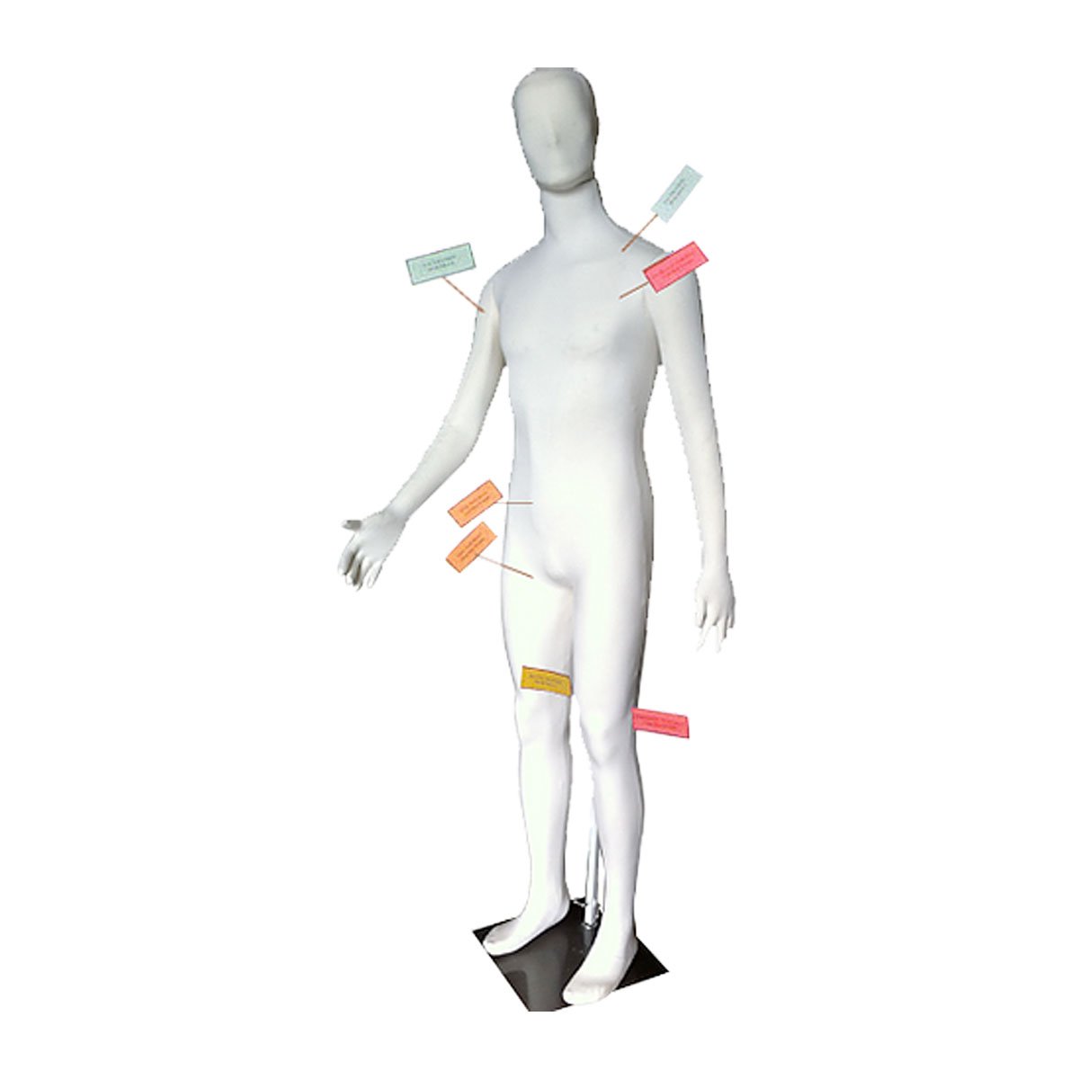 Dummies Unlimited Poly-Flex Forensic Mannequin-Tactical Gear UK