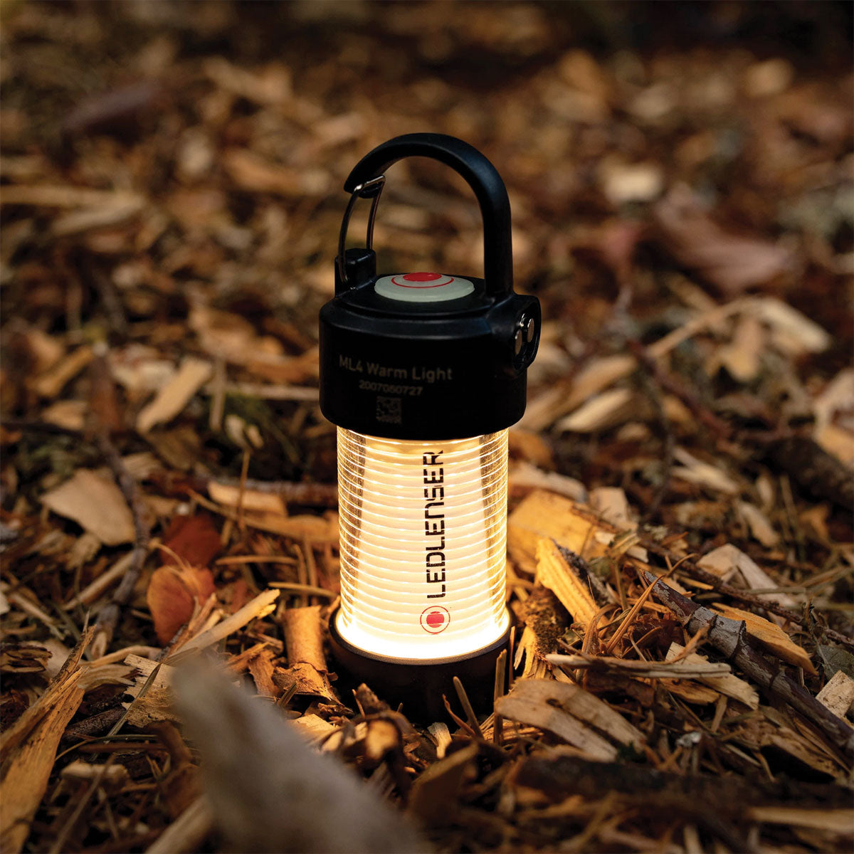 Ledlenser ML4 Mini Lantern Warm Light Rechargeable with Box-Tactical Gear UK