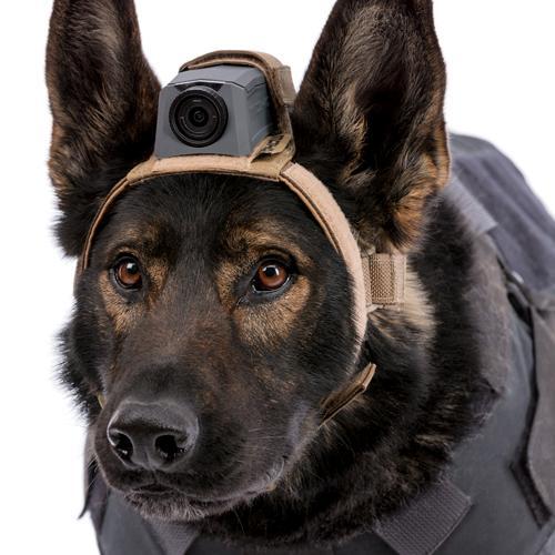 MOHOC K9 Mount-Tactical Gear UK