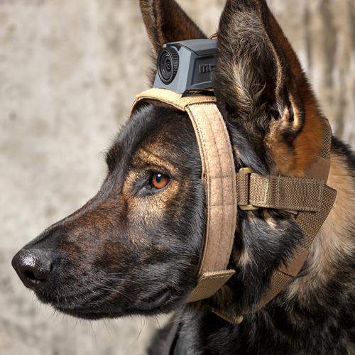 MOHOC K9 Mount-Tactical Gear UK