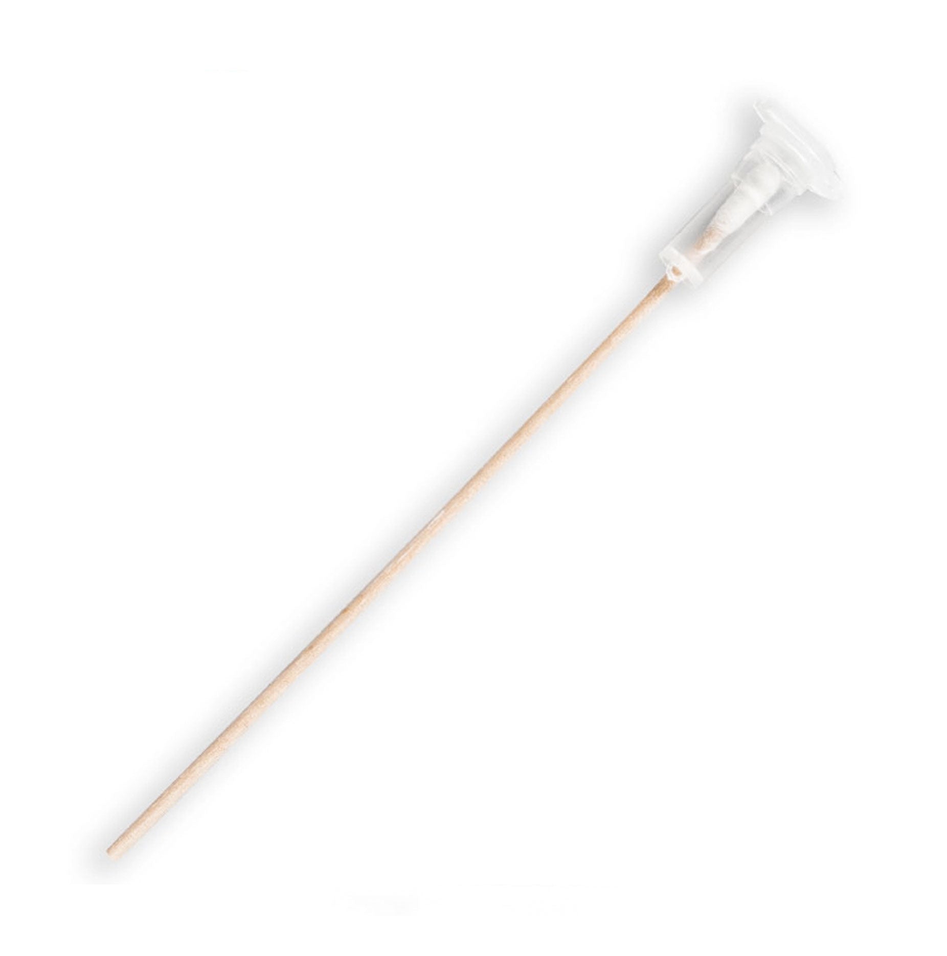 Arrowhead Forensics Cap-Shure DNA Collection Swab - w/ 6" Wood Stem - 50/pk-Tactical Gear UK