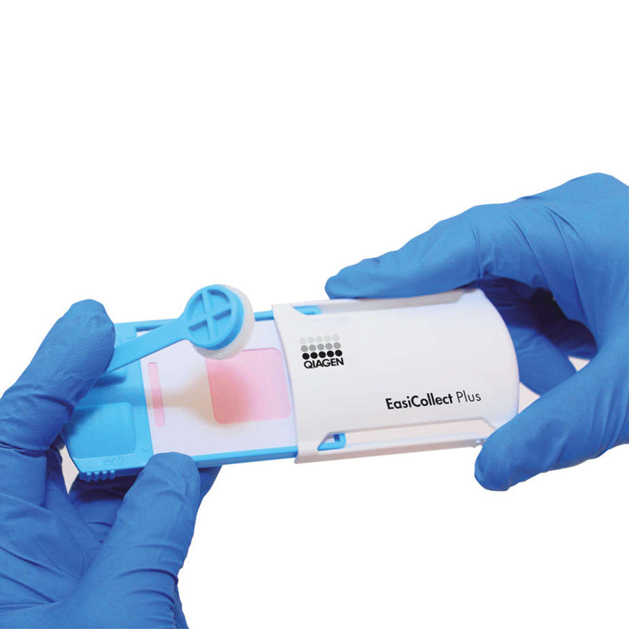 Pk Sample Collection Arrowhead Forensics EasiCollect + (Plus) Buccal Sample Collection Devi ...