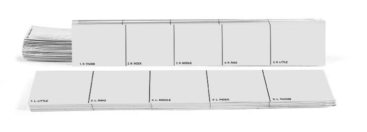 Arrowhead Forensics Replacement Record Strip - Left & Right Hand - 100 each hand-Tactical Gear UK