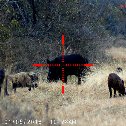 Sightmark Wraith HD 4-32x50 Digital Riflescope-Tactical Gear UK
