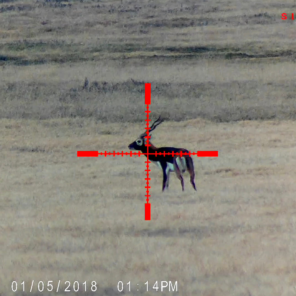 Sightmark Wraith HD 4-32x50 Digital Riflescope-Tactical Gear UK