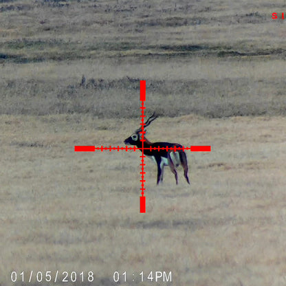 Sightmark Wraith HD 4-32x50 Digital Riflescope-Tactical Gear UK